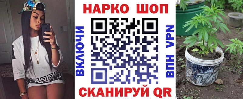 Наркошоп купить КОКАИН  Мефедрон  А ПВП  Псилоцибиновые грибы  МЕТАДОН  Канабис  ГАШИШ  Городец