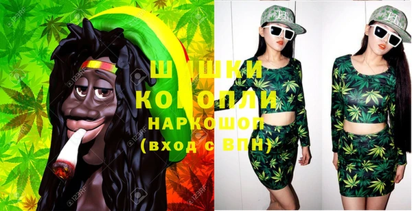 МДПВ Козловка