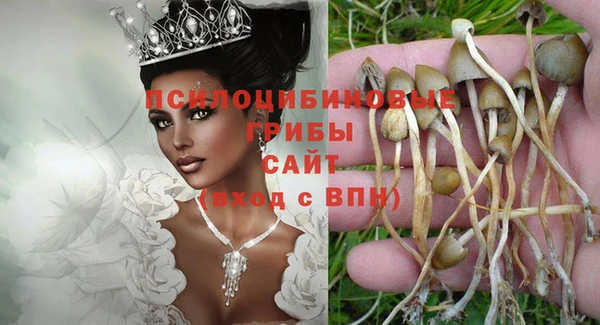МДПВ Козловка