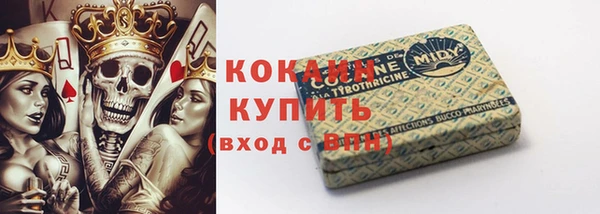 МДПВ Козловка
