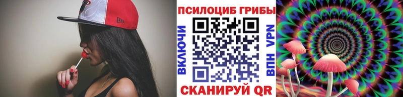 Купить где  Городец  Галлюциногенные грибы GOLDEN TEACHER 